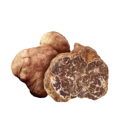 Tartufo Bianchetto (Tuber Albidum Pico)