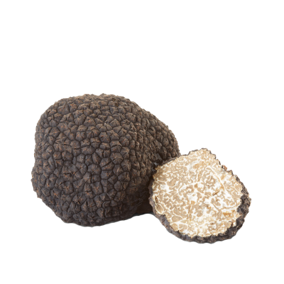 Tartufo Nero estivo (Tuber Aestivum Vittadini)
