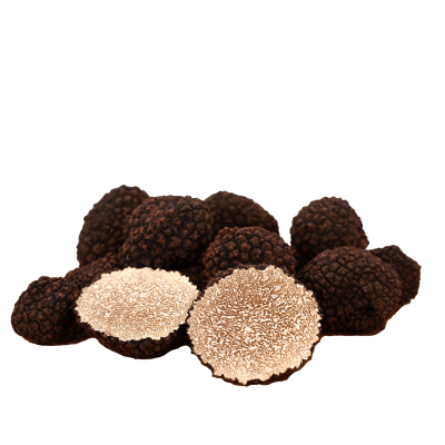 Tartufo Uncinato (Tuber Uncinatum Chantin)