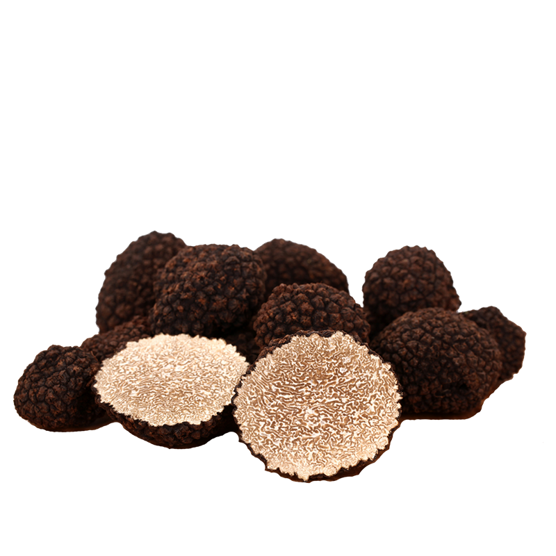Tartufo Uncinato (Tuber Uncinatum Chantin)